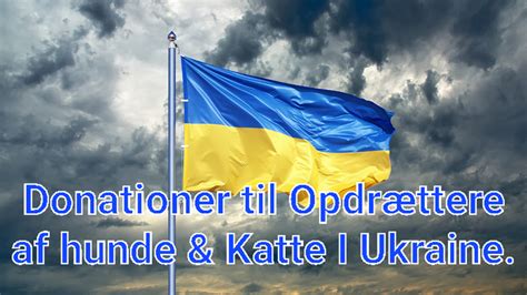 liste over donationer til ukraine